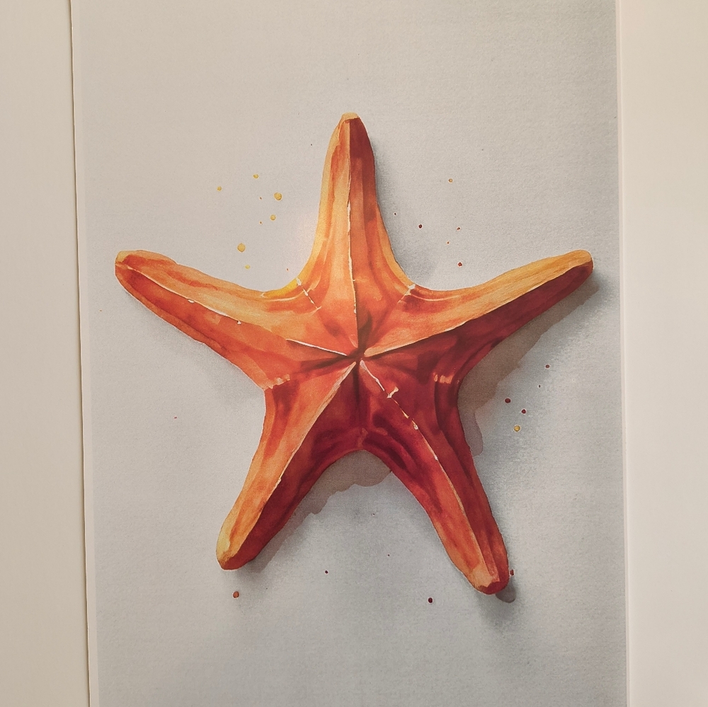 Starfish 11x17 Art Print